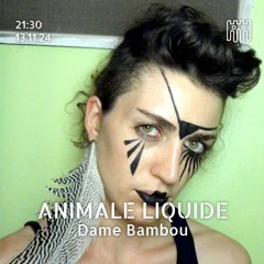 ANIMALE LIQUIDE - Dame Bambou [13.11.24]