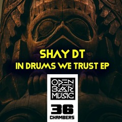 Shay dT - In Drums We Trust