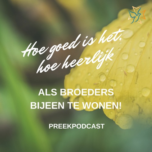 Hoe goed en heerlijk is broederschap en vriendschap? Preekpodcast 18 juli 2021