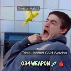 034 Weapon