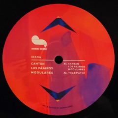 Podcast remix - Guy From Downstairs & Idana