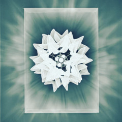 Drooma