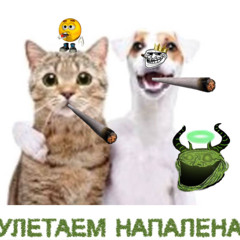УЛЕТАЕМ НАПАЛЕНА