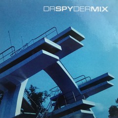 DR.SPY.DER MIX : CHAIKA : RE TEMPO : 20 YEARS AFTER : VINYL COLLECTION
