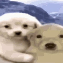 stranger (thx cymric)