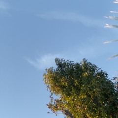 i fall apart (prod. everestdidthis)