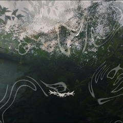 empty mind liquid soul