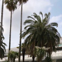 Будь что будет (slowed+reverb) - Suleeking Nazlim