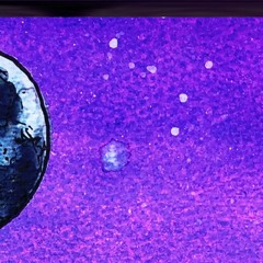 Raincoat On The Moon [Expanded Baskets / Demo]