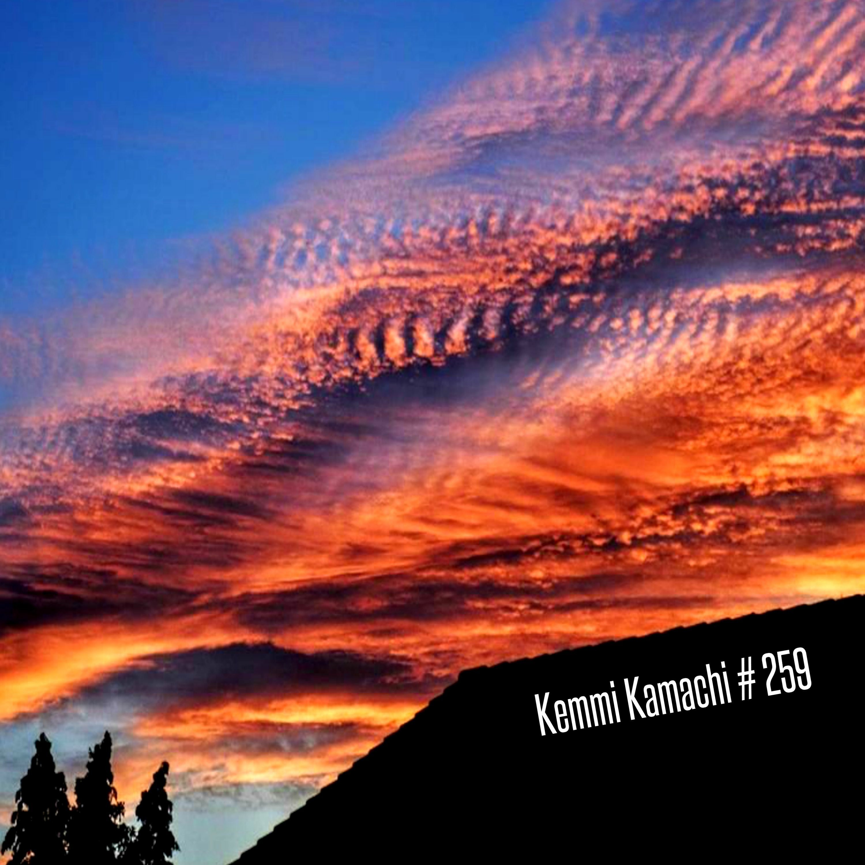 Kemmi Kamachi