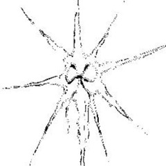 HOODYSCOOBY - HOODTRAP TYPEBEAT -