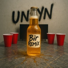 Mehnersmoos - BIR (UNSYN official BIRtempo Remix)