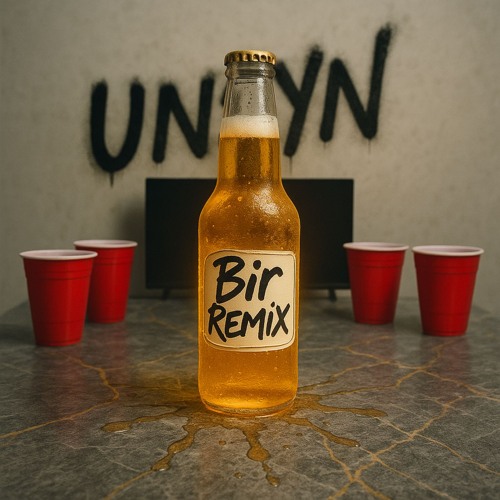 Mehnersmoos - BIR (UNSYN official BIRtempo Remix)