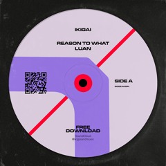 Luan - Reason to what (FREE DOWNLOAD)