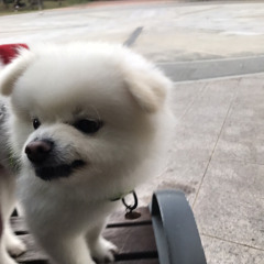 지아 - 여가
