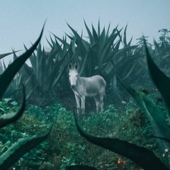 sfafiasffpasgags;sga