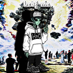 Leaf Me - P4RRAND4
