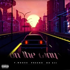 On The Way (feat. V.Woods, Preemo & Mo Sii)