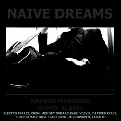 Naive Dreams - Pod Twoim Światem (Elektro Ferret Remix)