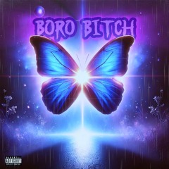 Boro Bitch - (Prod . Wartan)