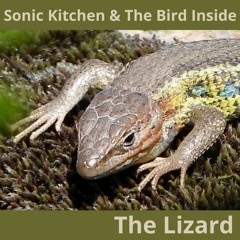 THE LIZARD (WITH SONIC KITCHEN)