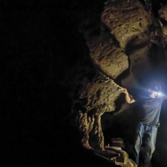 Petroglyphs (Night Phonk)