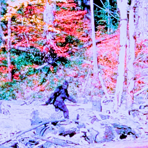The accident that changed everything