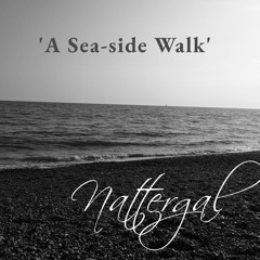 A Sea-side walk (Long version)