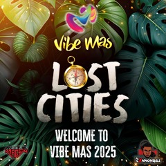 Welcome To Vibe Mas 2025