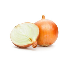 funny onion song (best part looped)