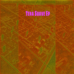 Various Artists - Tera Suave EP   (dAS027)