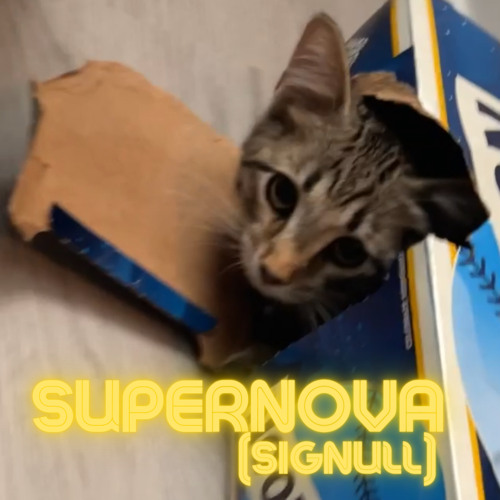 Supernova (signull) DEMO