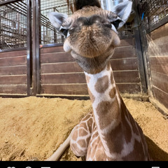 Begin de dag met een hard dansje🚀