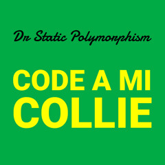 Dr Static Polymorphism - Code A Mi Collie