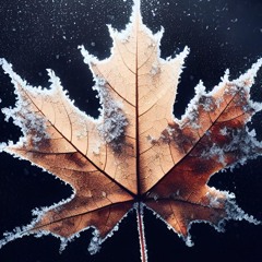 Brain Storm *unreleased*