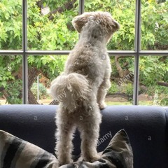 Magic Murph - Juice In Place April 2020 RD2