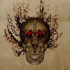 ̶s̶t̶r̶i̶a̶t̶u̶m̶