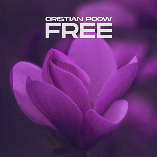 Free (Radio Mix)