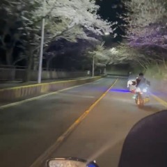 지아(Zia) 수호천사