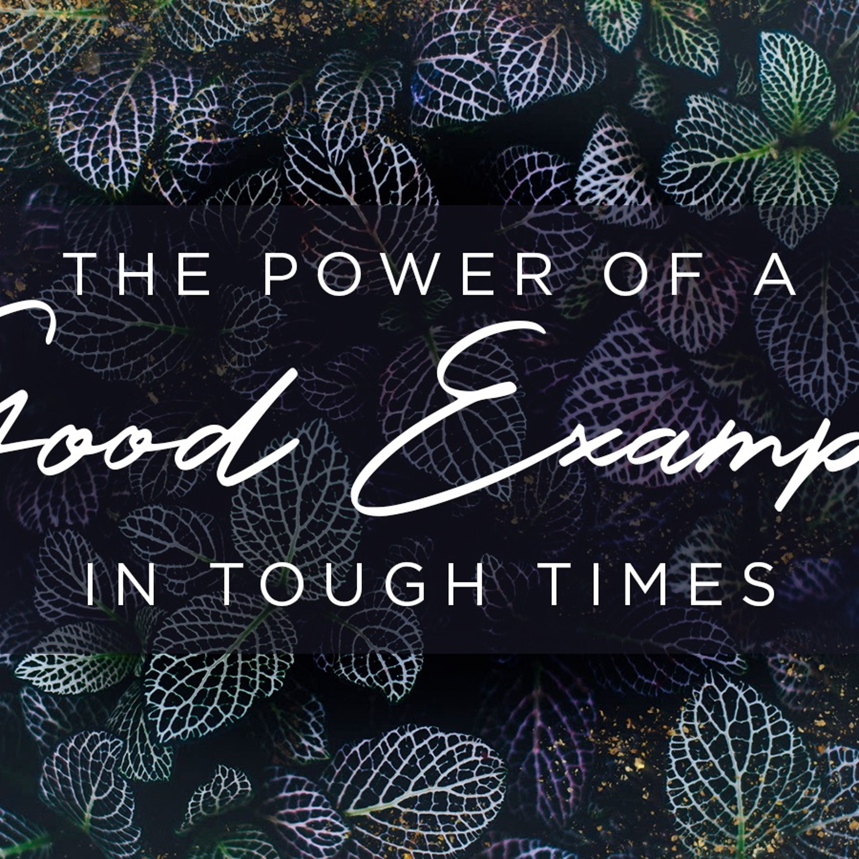 The Power of a Good Example in Tough Times 2021.05.09 episode artwork