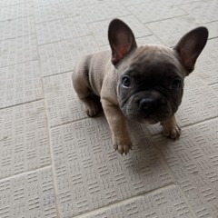 questi tagli [ raw ] ( prod. @yungestmoonstar )