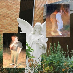 birds (feat. vellvit messiah)