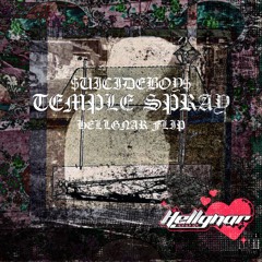 $UICIDEBOY$-TEMPLE SPRAY (HELLGNAR FLIP) free DL