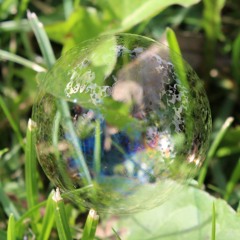Bubbles