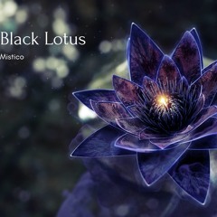 Black Lotus