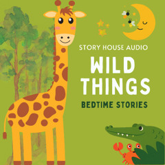 Wild Things: Bedtime Stories