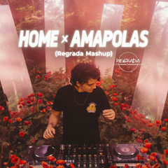 Home x Amapolas (Regrada Mashup) (FILTERED BY COPYRIGHT)