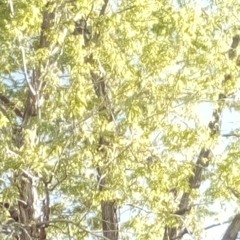 I've Got A Cure For That