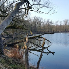 Zerkow - Czeszewo Landscape Park
