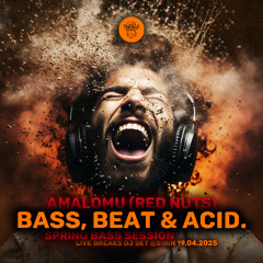 Amalomu (Red Nuts) - Bass Beat and Acid (Breaks DJ Mix)